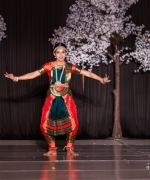 20240913_20-14-00_307_FMUS2223