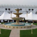 royal alberts
